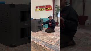 THIS is how to keep your dog calm out of the crate!