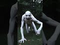 Something In The Forest Started Crawling At Me #shorts