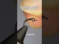 3 Dollar Dip | Fly Tying Tutorial