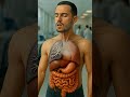 When You Smoking Inside the Human Body-Science in Motion #humanbody #anatomy #3danimation