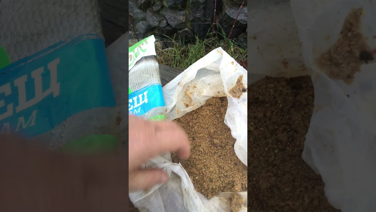 KILLER FISH 007 !!! TAGANKA 2023 !!! 