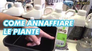 Sub Eng - Quanto E Come Annaffiare Le Piante?