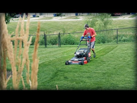 Lowering Lawn Mowing Height