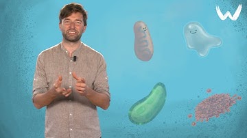 A5 Zo is het leven op aarde ontstaan