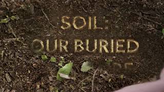Soil: Our Buried Treasure