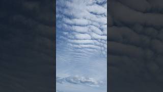 #DreamTrackAI I just needed to hear your voice, Just watching the clouds like a movie