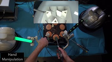 Multimodal and Mixed Control of Robotic Endoscopes