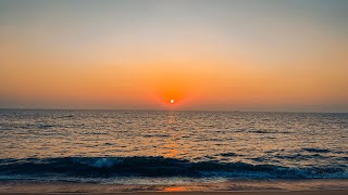 Sunset serenade with paws in the sand,as nature unfolds in its own rhythm