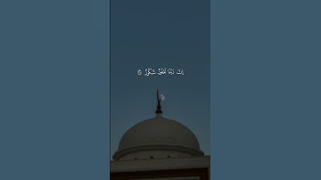 سورة فاطر عبدالملك الراجح