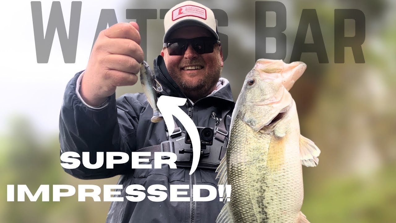 Spring Bass Fishing On The TENNESSEE RIVER!!  I Fell In LOVE With THIS Bait!  (Watts Bar in April)