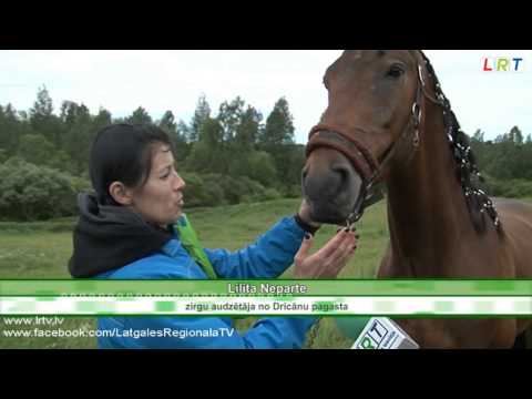 Video: Zirgu Dārzi