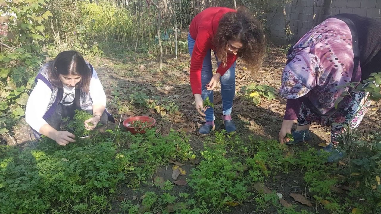 Uzunköprü Danişment köyü Edirne
