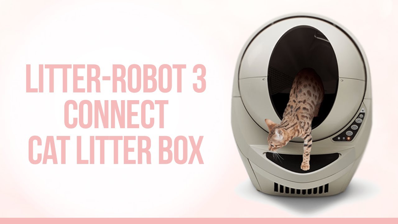 contact litter robot