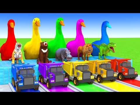 5 GIANT DUCKS and Friends Cross the Famous Fountain in EPIC Animation #631