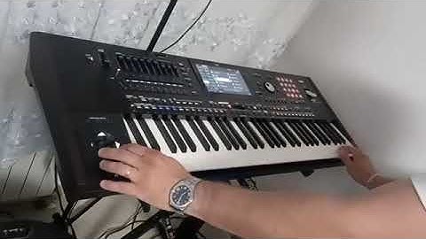 Sandra Afrika i Emir Đulović- Skote moj [Korg Pa5x, ELVIS ASH]