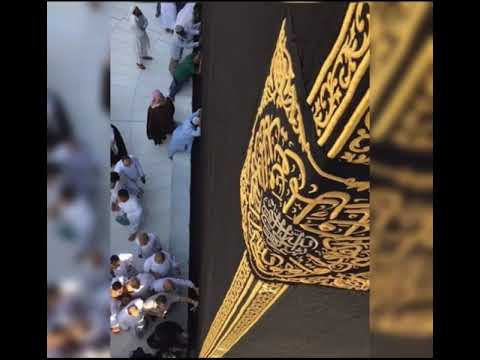زوجات يعقوب و إخوة يوسف من كل زوجة