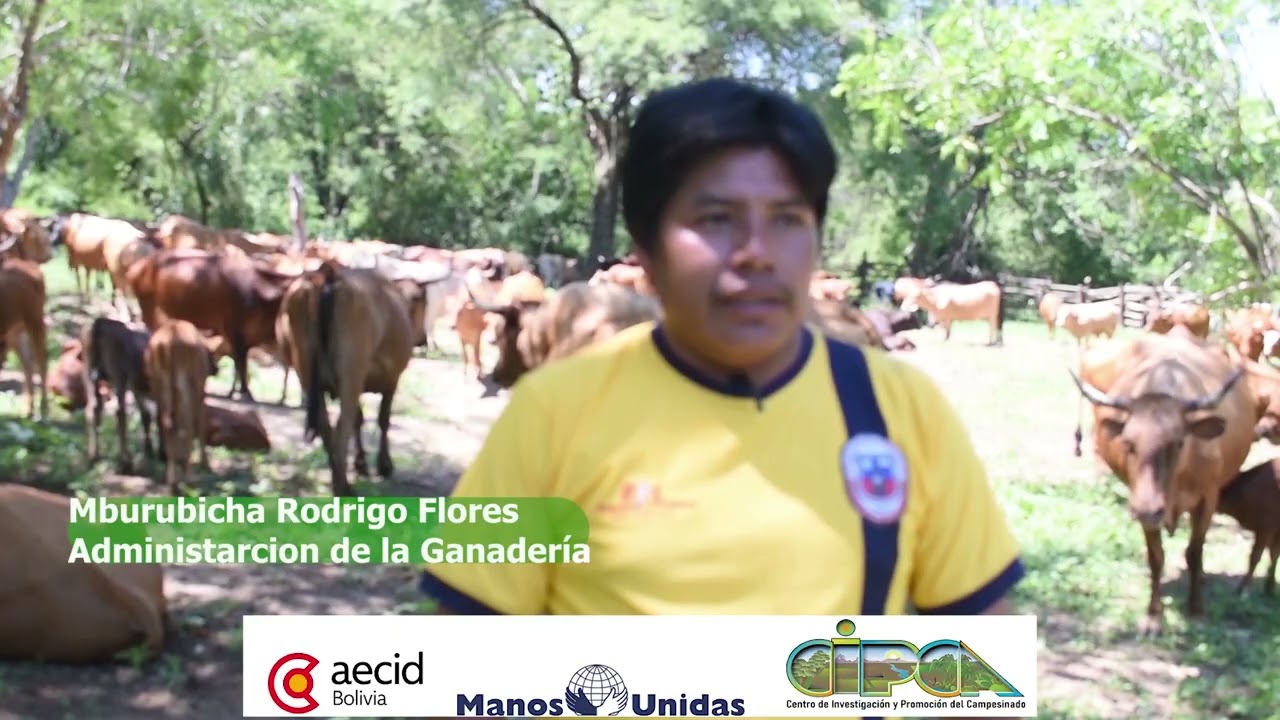 GANADERIA COMUNITARIA AGUAYRENDA