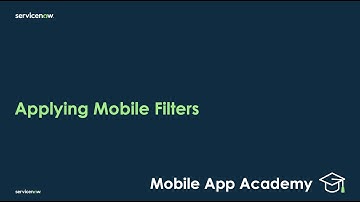 Mobile App Academy: Customizing Mobile Filters