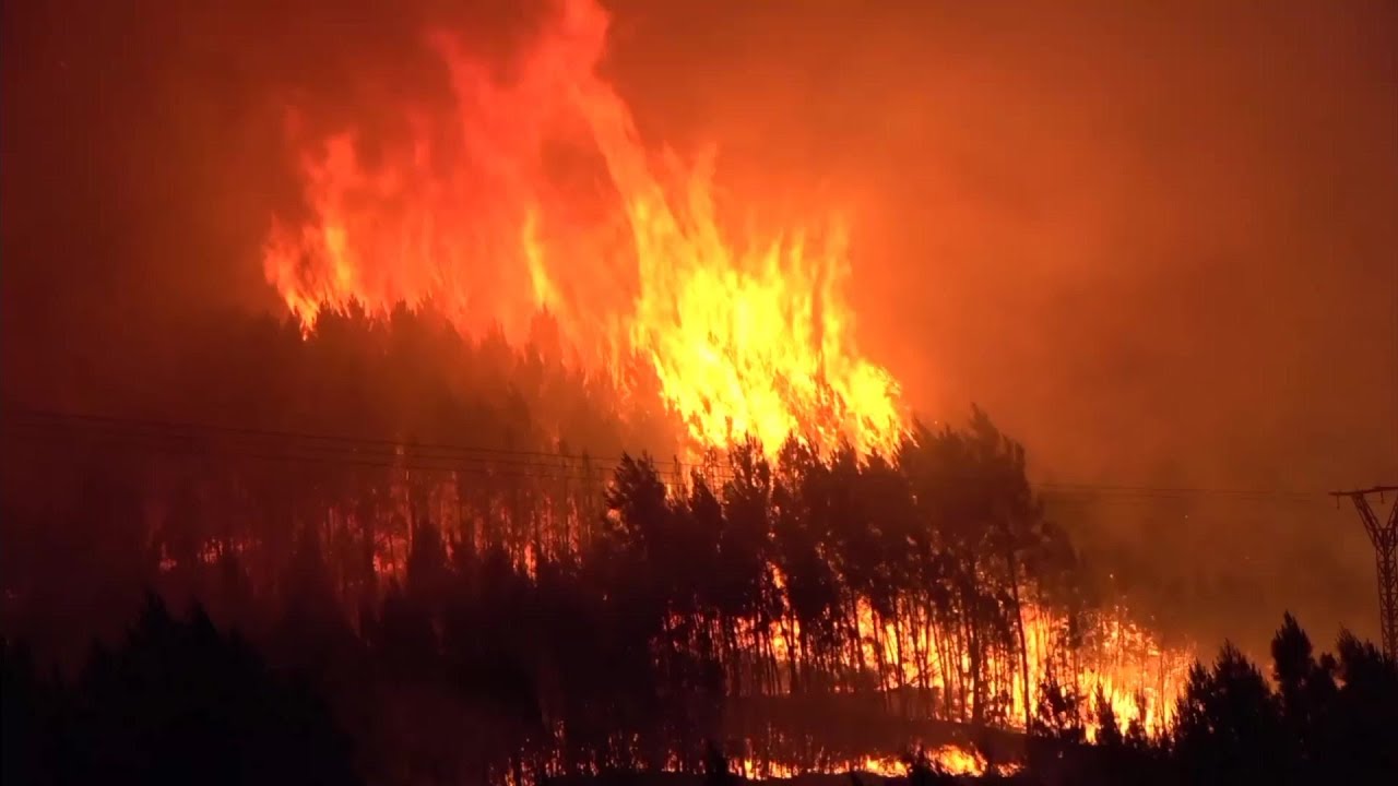 Feu de forêt en Espagne: au moins 550 personnes évacuées | AFP Images