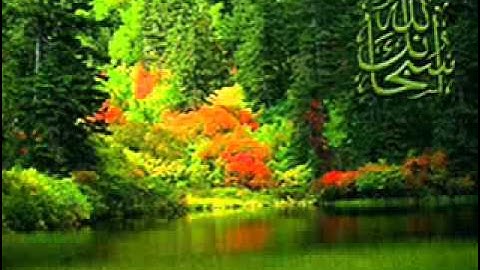 سورة الرحمن كاملة بصوت الشيخ سعد الغامدي / Surah Ar-Rahman - Saad Al Ghamdi