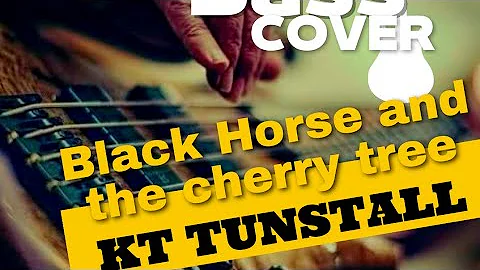Bass Cover (Black Horse and the Cherry Tree) KT Tunstall