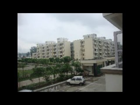 coding python till i master dsa - YouTube image.