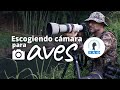 SAO |Sociedad Antioqueña de Ornitología| Charla del Mes: Escogiendo cámara para fotografiar aves