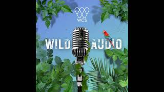 WCS Wild Audio Summer Series, Part 6: Reducing Single-Use Plastics from Our Waste Stream to Prote...