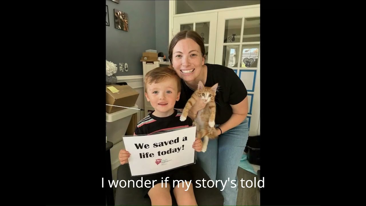 Saving and Changing Lives