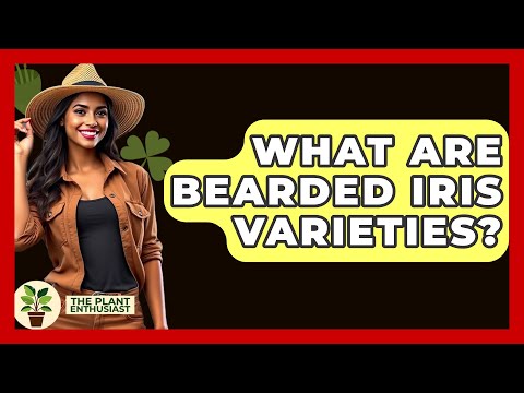 What Are Bearded