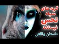 داستان ترسناک گربه های سیاه نحس نیستند ارسالی از مخاطب کانال حکایت های ماورایی 