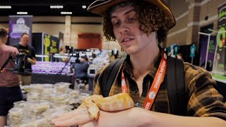 Blood python! My new snake bit me!!