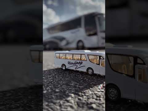 Autobús de Mandingo y MiniBus #grupomandingo #musica #regionalmexicano #music #humor #cumbia