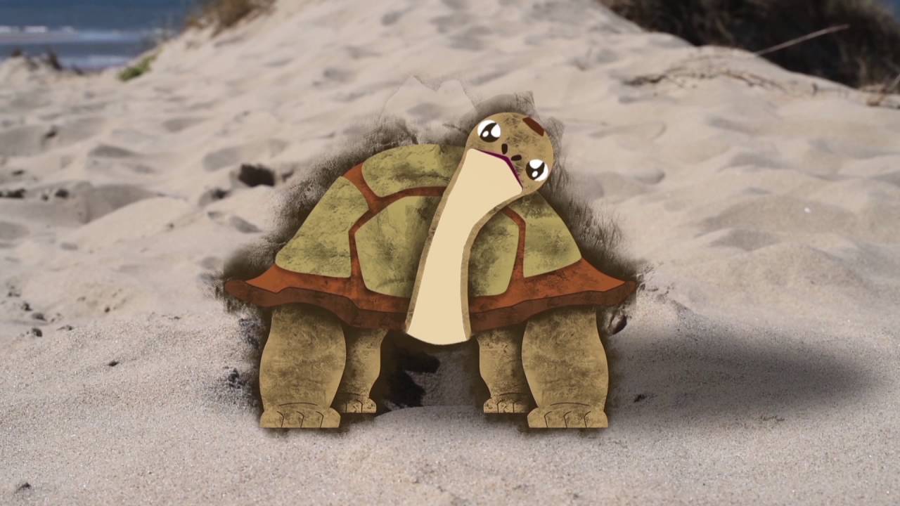 Shell | short film - YouTube