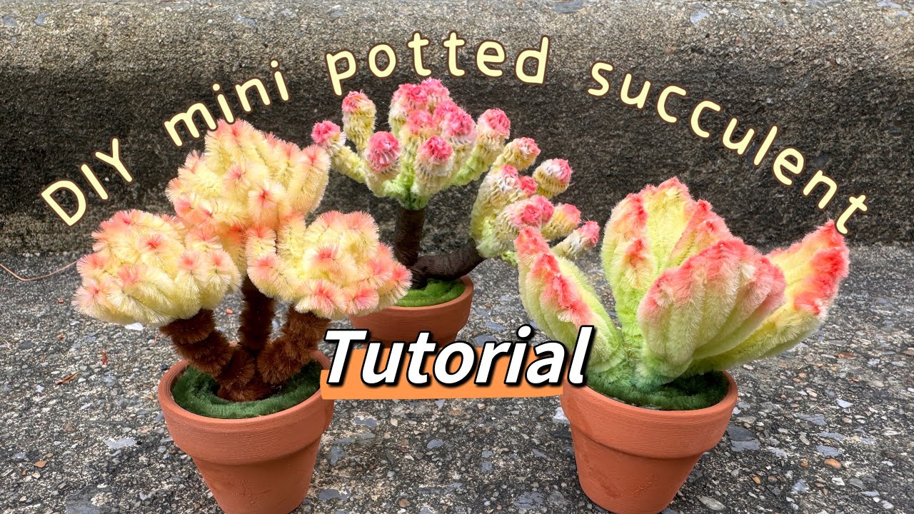 DIY mini potted succulent 
