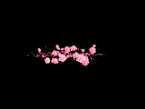 自作動画編集用の無料（フリー）合成用動画素材集｜四季・春夏秋冬【春の桃（タイトル・文字用）】子供の成長記録のビデオ作成、コスメの動画制作がおススメ｜かわいい映像にも、可憐な動画にも合う