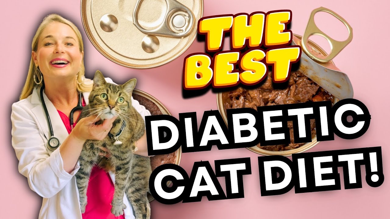 canned cat food chewy Stella & Chewy's Carnivore Cravings Grain-Free Wet Cat Food Chicken & Tuna