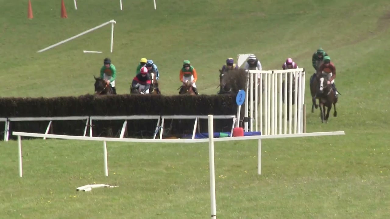 P2P -  Killeady - 13 Apr 2025 - R2 Tattersalls Ireland Derby Sale 4yo Geldings Maiden