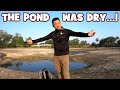 When Even the HALF-DRIED POND PRODUCES...!!! (MYSTERY FISH Appears)