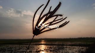 Serenity [Prolog]