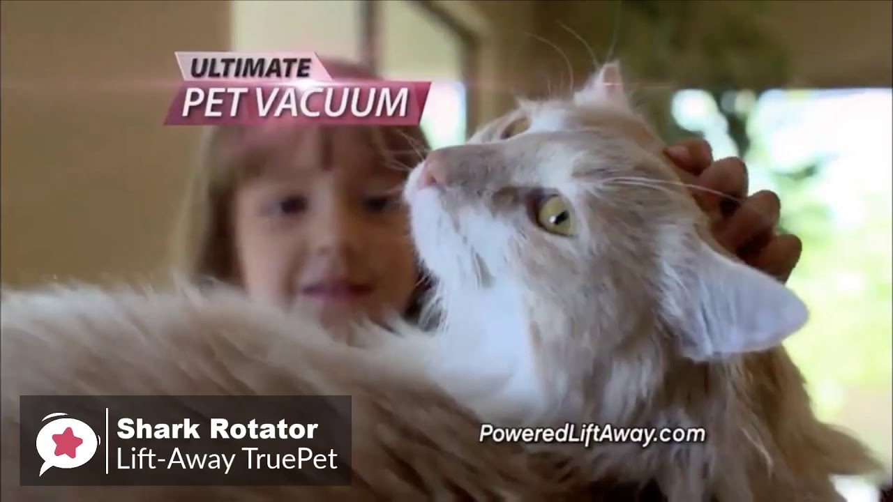 THE BEST VACUUMS FOR PET HAIR 2020
