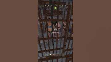 When You Run Into a Psychopath in Rust