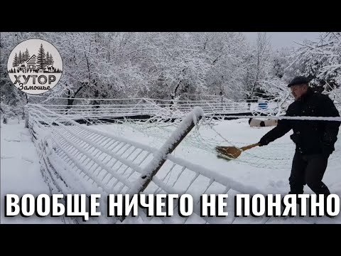 ЗИМА ВЕРНУЛАСЬ. ХРЯК БЕСПОКОЙНЫЙ И  ПРОЯВЛЯЕТ АГРЕССИЮ. НЕПОНЯТНО ЧТО ПРОИСХОДИТ.