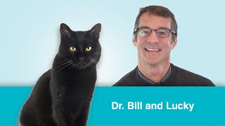 Dr. Bill and Lucky - Ep.5