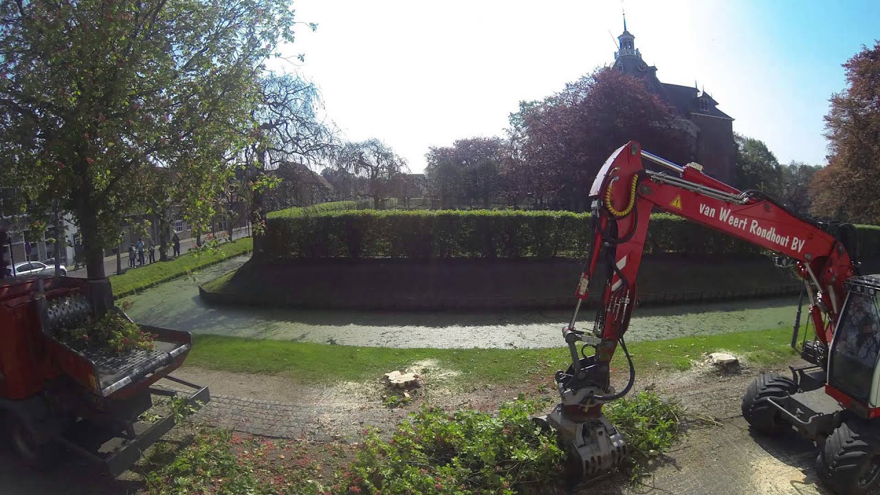 Kappen kastanjebomen Willemstad