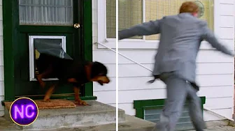 Chased by the Guard Dog | Ferris Bueller's Day Off