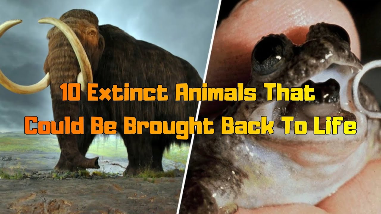 10 Extinct Animals That Could Be Brought Back To Life