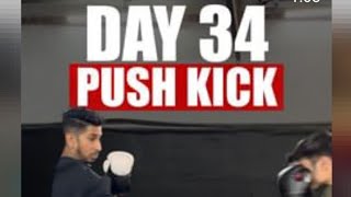 So it’s Day 34 Learning mixed martial arts in 100 days Today we will learn how to throw a push kick.