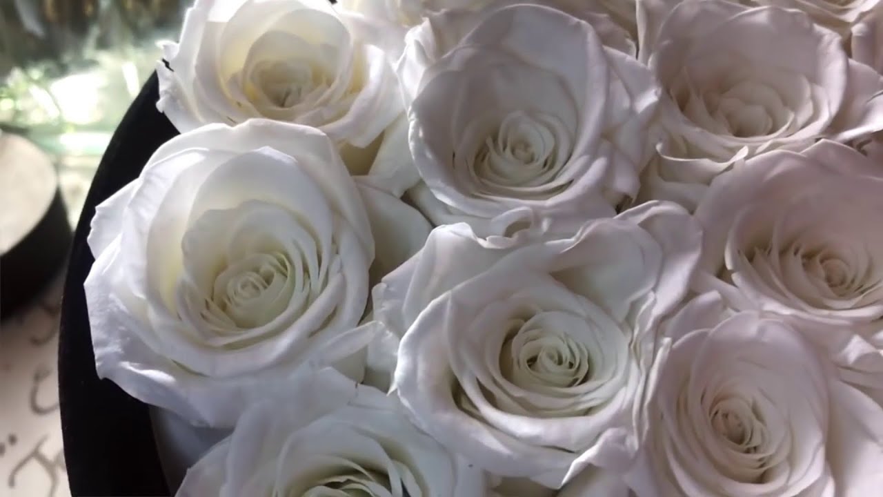 Review Rose Forever New York Passion Round Ivory Preserved Roses