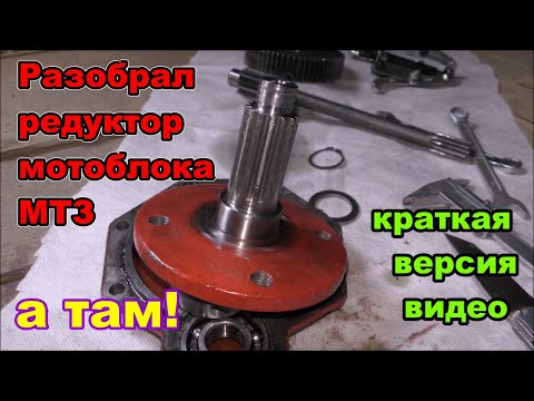 Обзор бортового редуктора мотоблока МТЗ! Как разобрать бортовой редуктор.